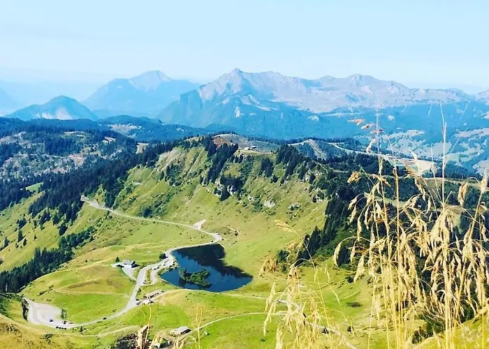 Superbe Appartement Au Centre De Samoens